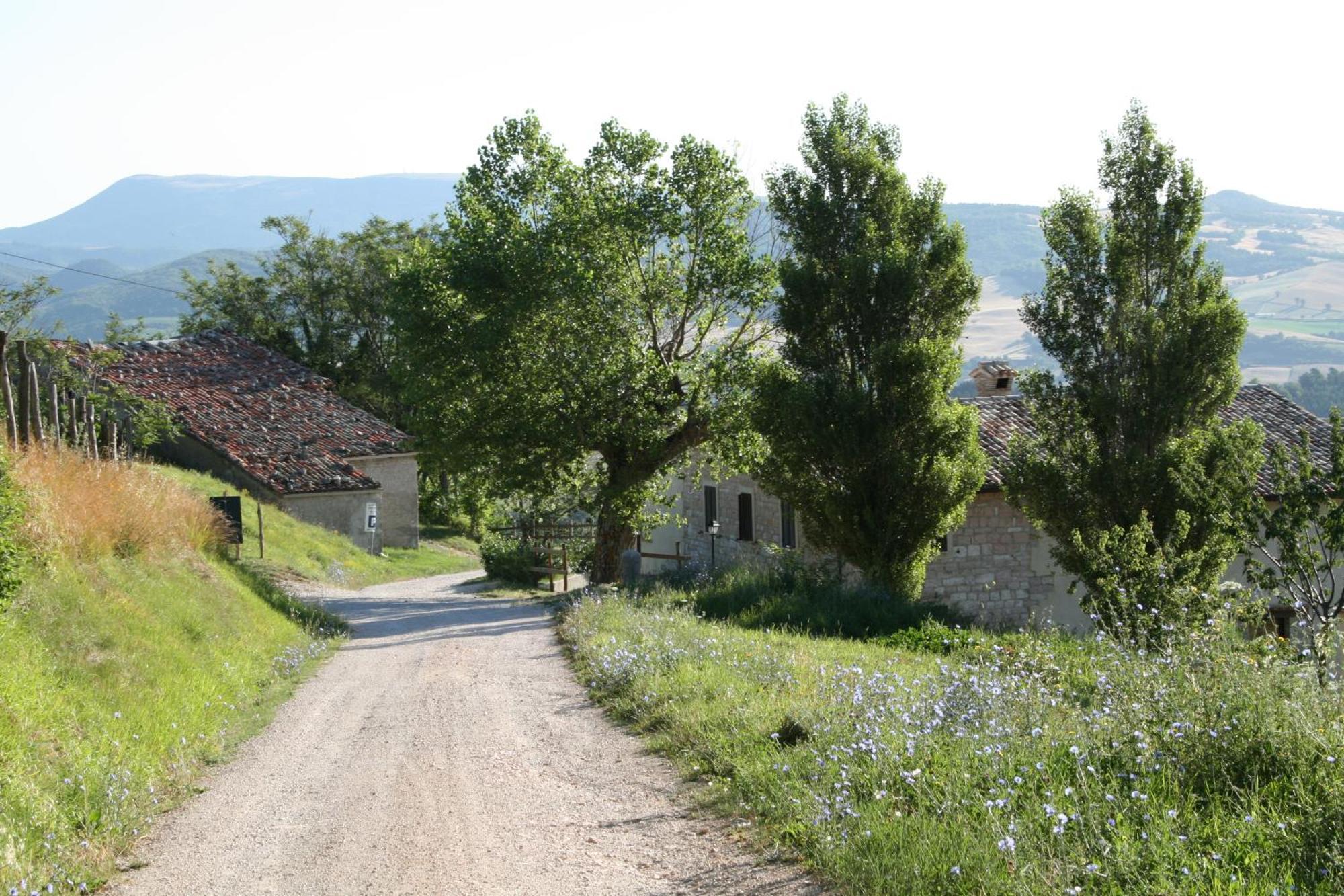 Villa Colticciola Agriturismo Marche Cagli Eksteriør bilde